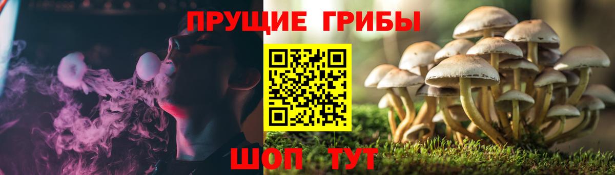 Псилоцибиновые грибы прущие грибы Кимовск